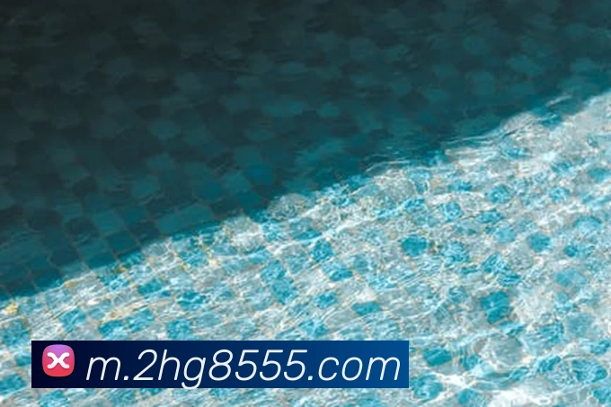 奖项证书